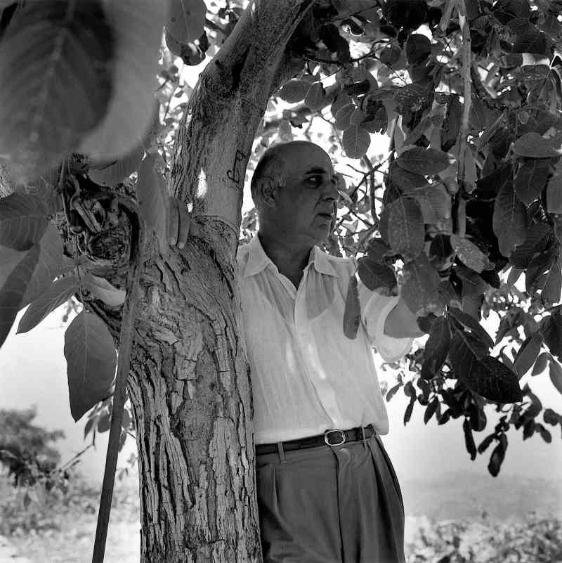 giorgos seferis: the greek nobelist!