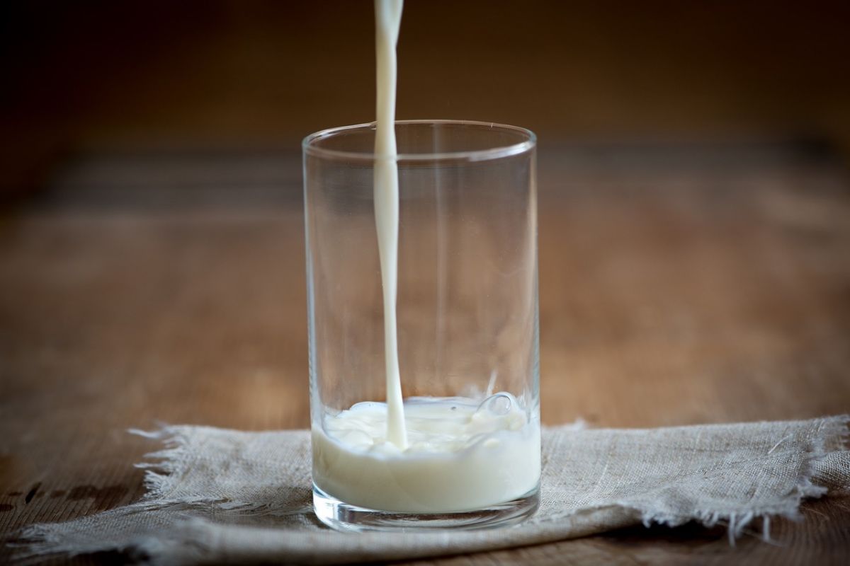 Νέες έρευνες προσπαθούν να δείξουν αν το αγελαδινό γάλα παίζει ρόλο στην εμφάνισή του,greeks channel,Έυη Μακαβέλου