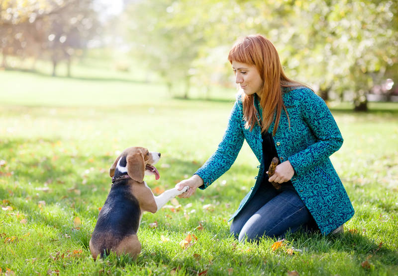 puppy with woman