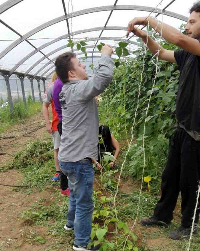 lysos garden: Ο κήπος των «ξεχωριστών» αυτής της κοινωνίας!