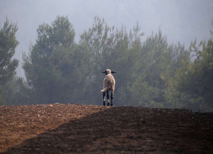 Με στάχτες και πτώματα δεν κάνεις πολιτική