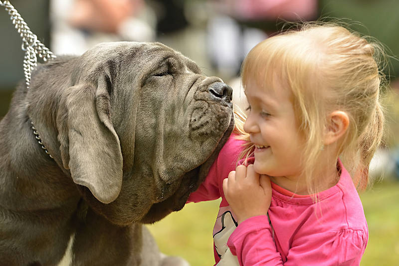 Μικρό παιδί, Μεγάλο σκυλί: Γιατί είναι καλό να συμβιώνουν! dog n little girl
