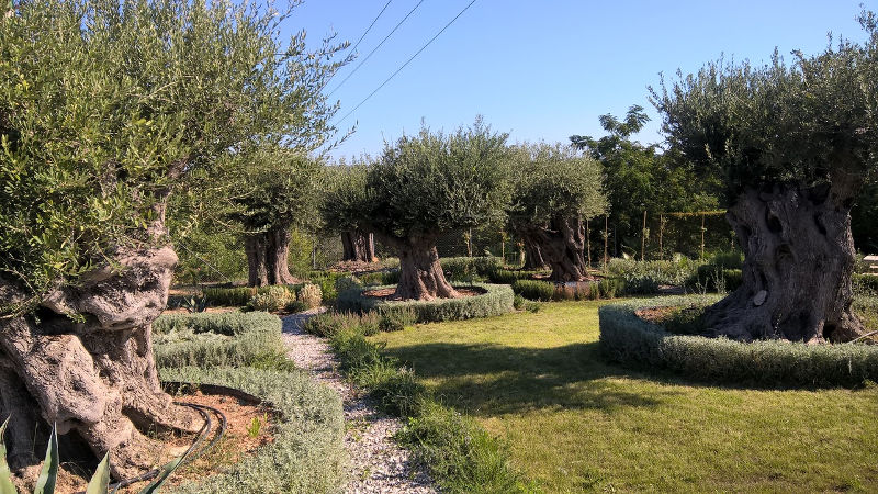 Ο «ΕΛΛΗΝΙΚΟΣ ΚΗΠΟΣ» (hellenic garden)