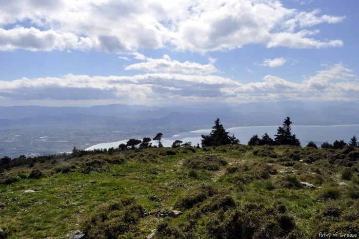 Κάψαμε 71.000 στρέμματα, με τους καπνούς να φτάνουν μέχρι την Ικαρία, τον ουρανό να σκοτεινιάζει σε ολόκληρη την Αττική