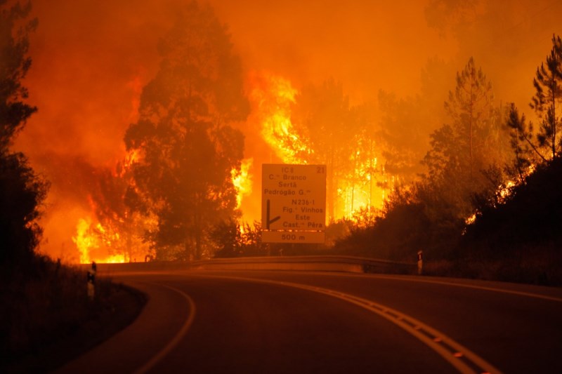 Πυρκαγιές: Η μάστιγα της Ελλάδας