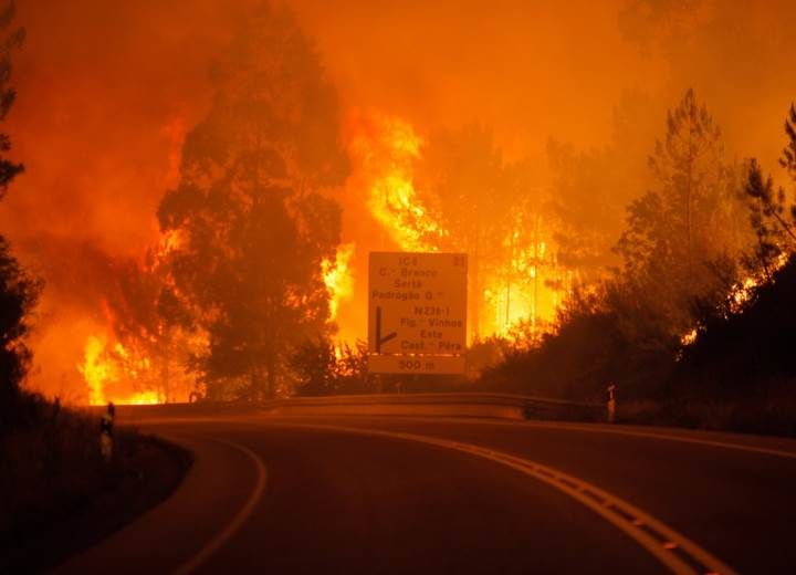 Πυρκαγιές: Η μάστιγα της Ελλάδας