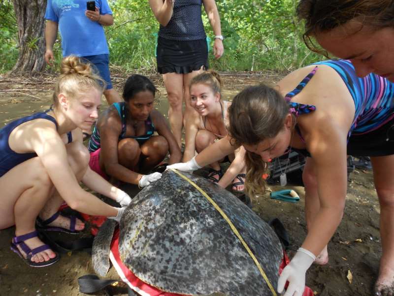 «voluntourism»: Συνδυάστε τον εθελοντισμό με τις διακοπές