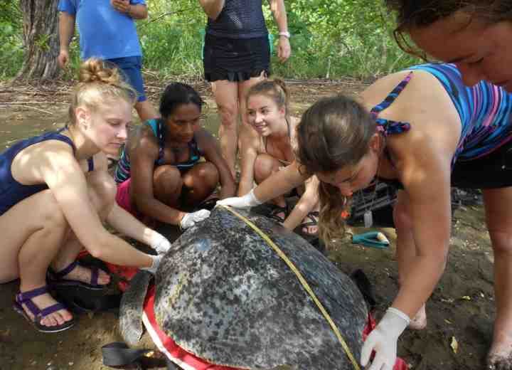 «voluntourism»: Συνδυάστε τον εθελοντισμό με τις διακοπές